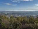 img 0786