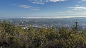 img 0786