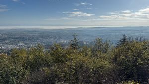 img 0787