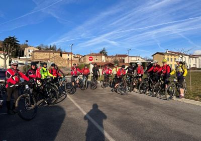 Félines 19 Février 