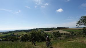 dsc00369