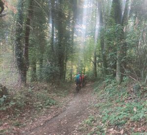 30