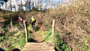 vlcsnap 2026 03 15h54m26s401