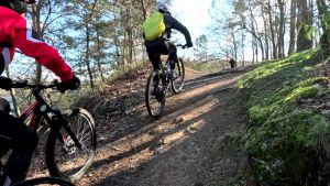 vlcsnap 2026 03 15h03m11s241