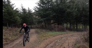 vlcsnap 2026 02 01h29m34s297