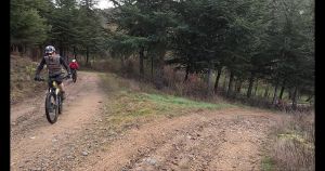 vlcsnap 2026 02 01h29m41s393