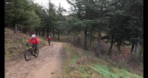 vlcsnap 2026 02 01h29m46s960