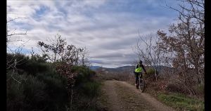 vlcsnap 2026 02 01h32m58s215