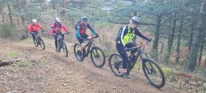 whatsapp image 2026 02 01 at.30.52