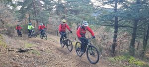 whatsapp image 2026 02 01 at0.30.53  