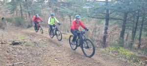 whatsapp image 2026 02 01 at.30.53