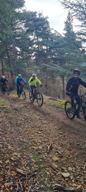 whatsapp image 2026 02 01 at.30.54