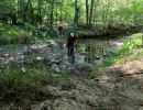 51