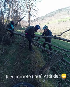 whatsapp image 2026 03 29 at3.17.31  