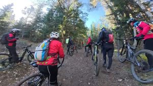 whatsapp image 2026 03 29 at8.09.10  