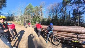 whatsapp image026 039 at 18.09.10  