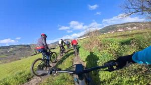 whatsapp image 2026 03 29 at.09.10