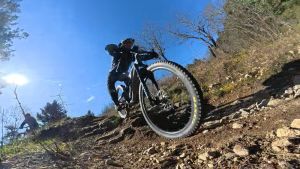 whatsapp image 2026 03 29 at8.09.11  