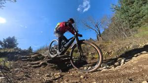 whatsapp image 2026 03 29 at.09.12