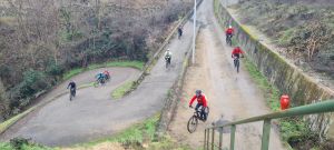 whatsapp image026 015 at 11.55.14  