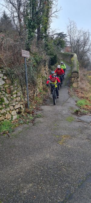 whatsapp image 2026 01 25 at.55.16