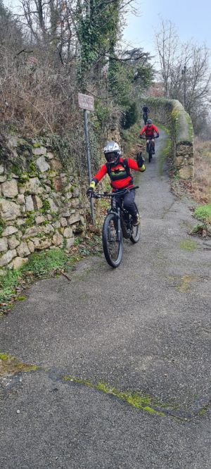 whatsapp image026 015 at 11.55.38  